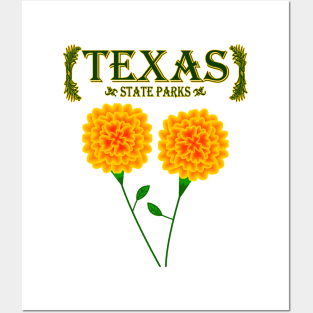 Texas State Parks Posters and Art